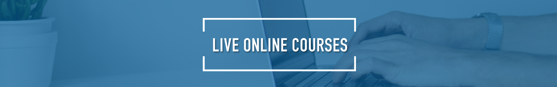 Live Online Course banner